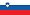 Slovenian swimcoach flag