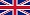 British swimcoach flag 