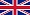 British swimcoach flag